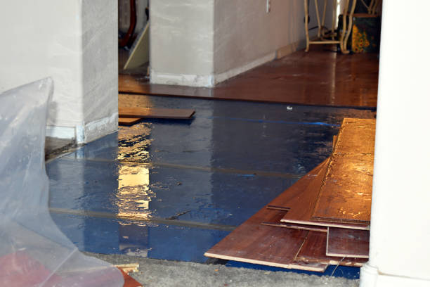 Professional Burst Pipe Water Damage technician working in Colon, MI